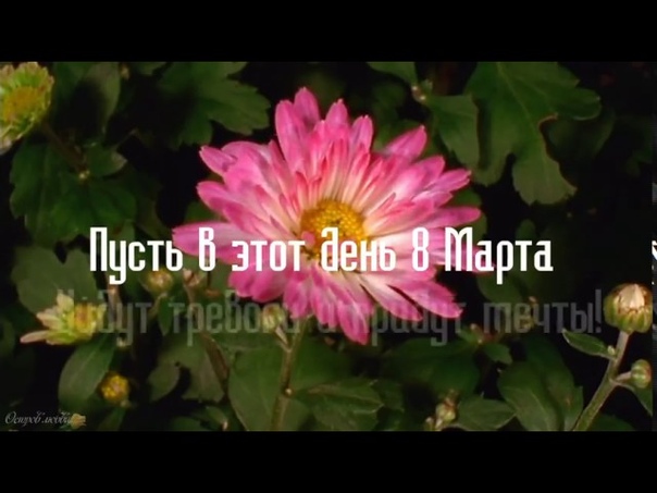 С ДНЕМ 8 МАРТА Красивое поздравление с праздником 8