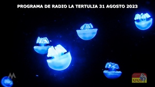 PROGRAMA DE RADIO LA TERTULIA con Padre Tomas Del Valle-Reyes - 31 AGOSTO 2023