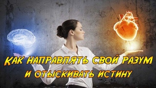 Рассуждение о методе. Декарт. Чтение у камина