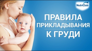 Как правильно прикладывать малыша к груди