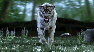 White Tiger Furry 3d Model Animated | PROmax3D