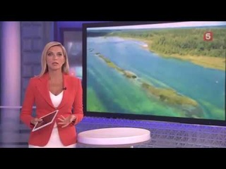 Как уникальные «ленинградские Мальдивы» оказались под угрозой уничтожения