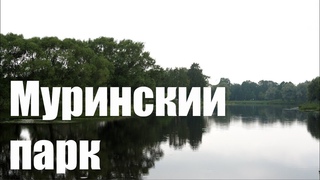 Муринский парк (Тест Olympus PEN E-PL9 на Zhiyun Crane M)