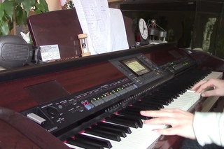 Drei Lilien (Piano Version)