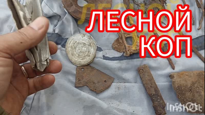ПО ГРИБЫ И ПРОБЕЖАЛСЯ КОПНУЛ ОТВЁЛ