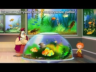 Мои домашние питомцы - Аквариум
