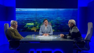 Севастопольские учёные получили премию за изучение береговой зоны Крыма