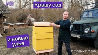 Крашу сад и новые улья.