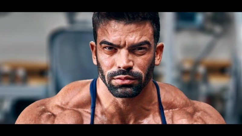 NO PLAN B Aesthetic Fitness