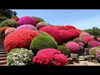 Exbury Gardens - England (HD1080p)