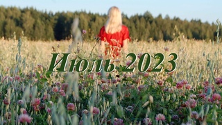 Июль 2023. Мещёрская сторона