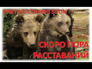 СКОРО ПОРА РАССТАВАНИЙ