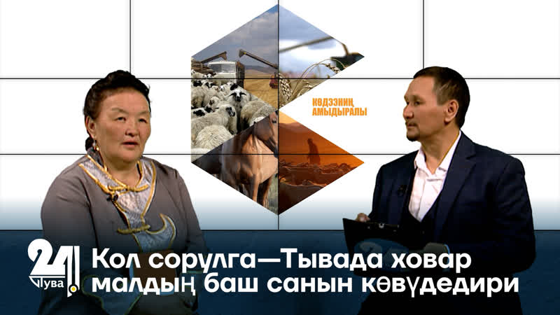 Кол сорулга Тывада ховар малдың баш санын
