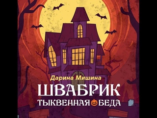 АУДИО СКАЗКА. АУДИОКНИГА для детеи ШВАБРИК Дарина Мишина.