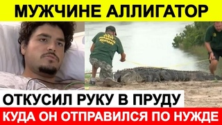 Новости сегодня, ЧП  Мужчине аллигатор откусил руку в пруду, куда он отправился по нужде