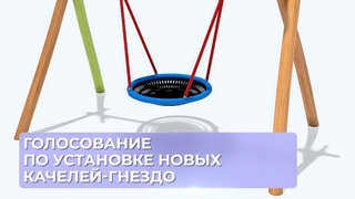 Голосование по установке новых качелей-гнездо.