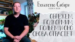 ЧЕЛОВЕК ЗРЕЕТ. Юрга. Сельский учитель и цветовод Александр Резвих