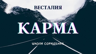 Ключ к работе с кармои #Весталия #карма #школаСорадение