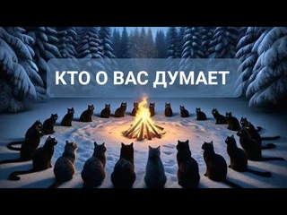 #Таро 🔮 Кто думает о Вас сейчас 🎯