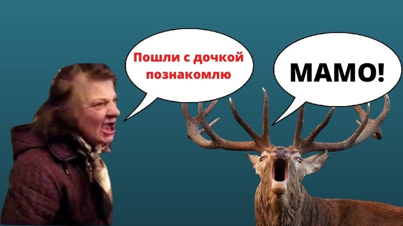 Знакомство с девушкой через ее мать, Бред сивой кобылы