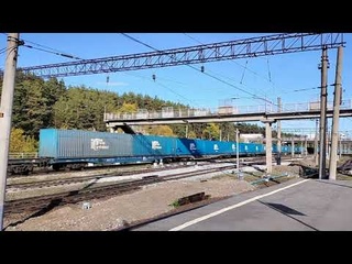 Последний день лета 2023 года на о.п. Займище