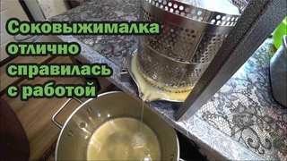 Отжимаю яблочный сок по-новому