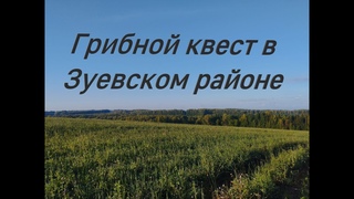 Грибной квест в Зуевском районе: волшебство и приключения в стиле Толкиена.