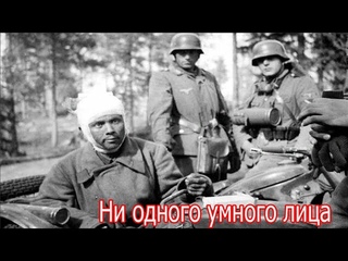 Ни одного умного лица, одни дебилы. Письма немецких солдат. Военные истории.