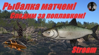 Русская Рыбалка 4 - Рыбалка матчем на разных водоёмах! Следим за поплавком. +Турниры Лайт и Малышки!