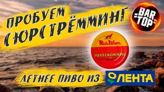 СЮРСТРËММИНГ, ПИВО И ШАШЛЫК | Пьëм на заливе