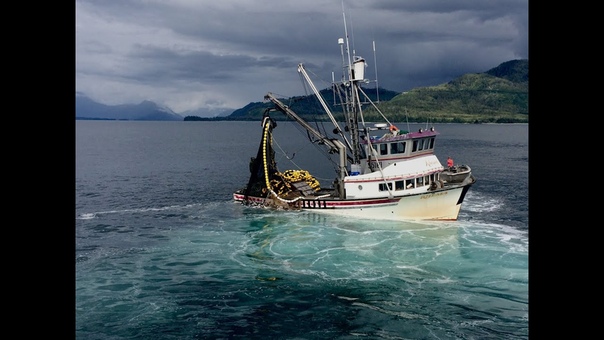 Commercial Fishing in Alaska: