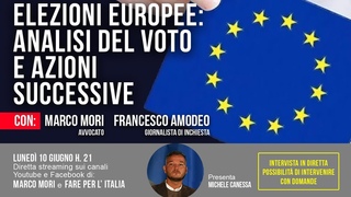 ELEZIONI EUROPEE: ANALISI DEL VOTO E AZIONI SUCCESSIVE