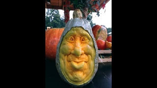 Великолепные тыквенные скульптуры Рэя Виллафэйна ( Gorgeous pumpkin sculptures by Ray Villafeyna)