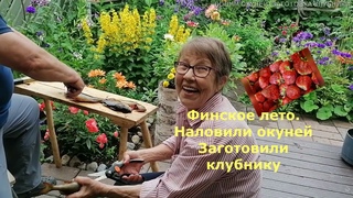 Татьяна. Лето идёт-хлопот невпроворот) Рыбалка на окуня/Клубничное шоу 2022/Вспомнил детство золотое