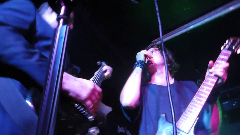 The Libertines Animal Nitrate ( Suede