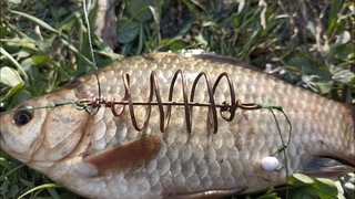 Снасть на которую будешь таскать карасей один за другим. Carp fishing rig.