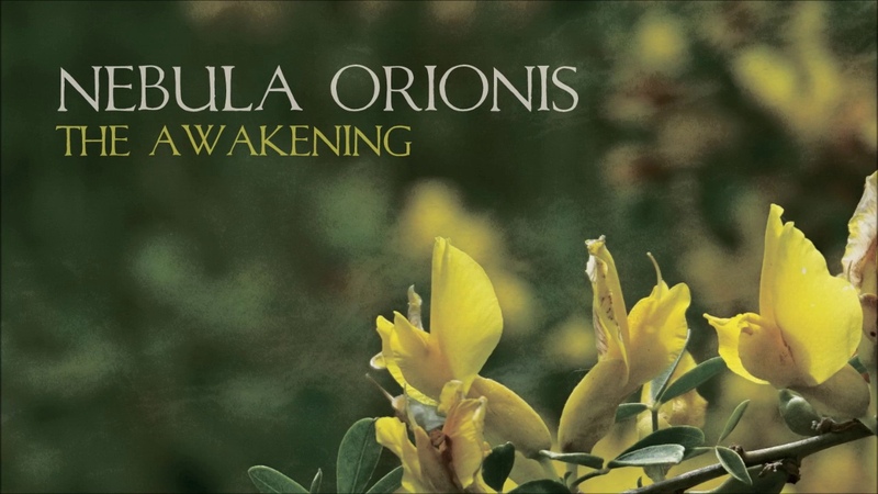 Nebula Orionis Uncovering The