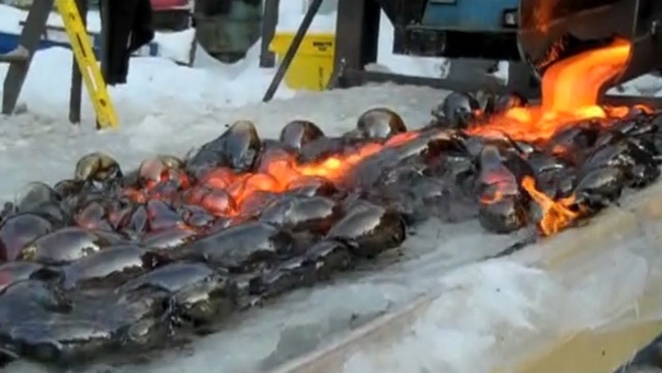 What Happens When Lava Meets