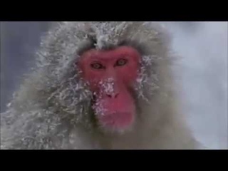 Ежедневник НикА за 2 октрября