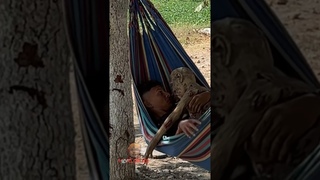 el  dormilon  part2  #viral