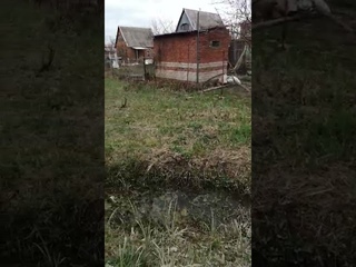 СНТ  Луч  А это тот самый уч. 29 с ГРП, собственность нач. Северского Межрегионгаза  Максимова.