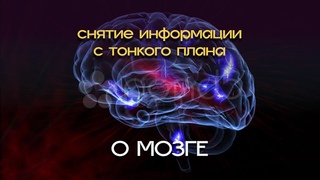О Мозге. Снятие информации с тонкого плана