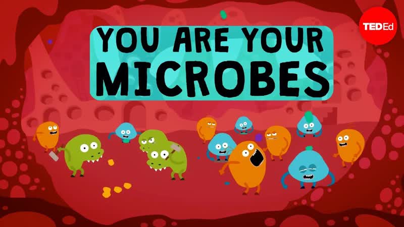 You are your microbes Jessica Green and Karen