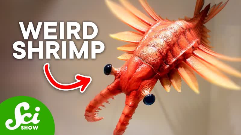 The Top 10 Weirdest Prehistoric