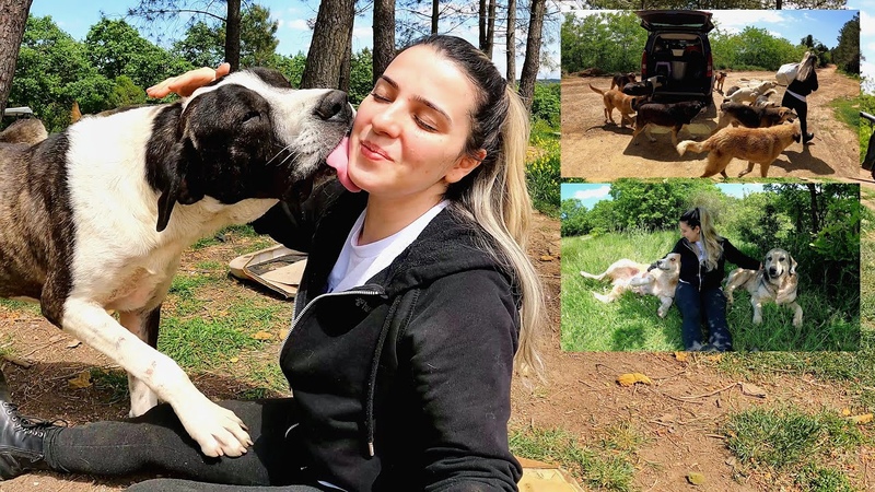 Known as the Mother of Stray Dogs, this woman celebrates mothers day to all