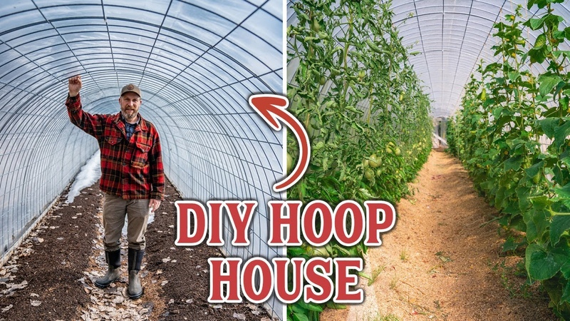 ( DIY GREENHOUSE) How We Made Our Own Inexpensive Hoop