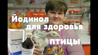 Йодинол! И Ваша птица будет здорова!