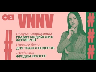 Попугаи-Наркоманы | Белье для Трансгендеров | Дома для Апокалипсиса | Плюс-Минус Новости с VNNV