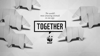 WWF Together - Polar Bears