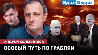 Андрей КОЛЕСНИКОВ: Арест Беркович, дроны над Сенатом, идеология движения по граблям / ВДОХ-ВЫДОХ